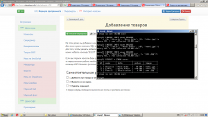 Отчёт от 10017 за Интернет-магазин / Добавление товаров