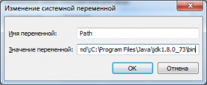 Отчёт от 10100 за J1. Запуск / START - Переменная окружения