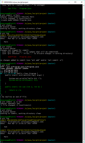 Отчёт от 10100 за Система Git / Commit