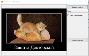 Отчёт от 10162 за Фотошарп / 256 оттенков серого