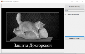 Отчёт от 10162 за Фотошарп / 256 оттенков серого