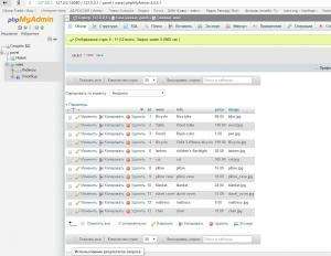 Отчёт от 10334 за Интернет-магазин / phpMyAdmin