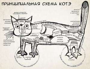 Отчёт от 10338 за Теория ООП / Инкапсуляция мечты