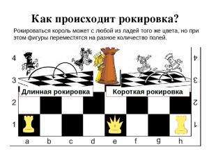 Отчёт от 10494 за Шахматы по сети / Алгоритмы. Королевский паркур