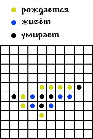 Отчёт от 10558 за Бинарная жизнь / VIP урок. Игра Жизнь