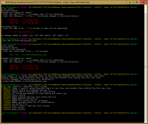 Отчёт от 10558 за Singleton / Singleton - Config - Super child