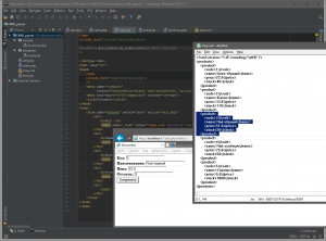 Отчёт от 10558 за PHP парсинг XML / Готовим форму