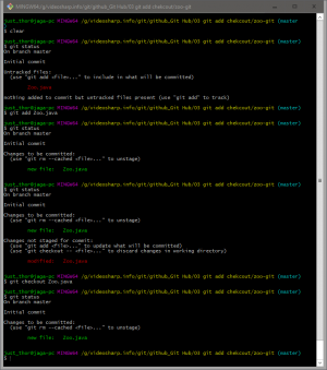 Отчёт от 10558 за Система Git / git add checkout