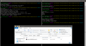 Отчёт от 10558 за Система Git / pingwin