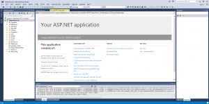 Отчёт от 10558 за Инфобизнес / Подготовка Visual Studio ASP.NET
