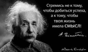 Отчёт от 10558 за Бинарная жизнь / ФИНАЛЬНЫЙ УРОК