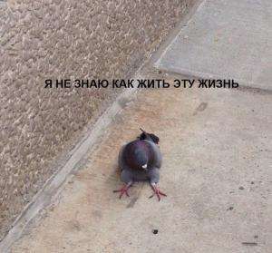 Отчёт от 10585 за Теория ООП / Фигуральный базовый класс