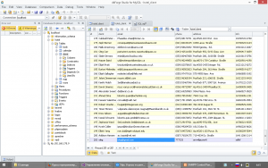 Отчёт от 10588 за БД - Управление гостиницей / Класс MySQL. Получение таблицы.