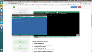 Отчёт от 10591 за J1. Запуск / START - Платформа Java