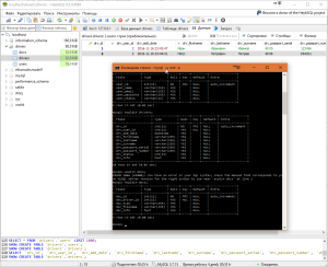 Отчёт от 10670 за PHP Driver / Создание базы данных в HeidiSQL