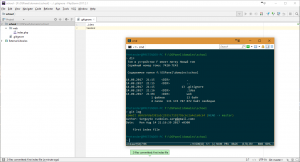Отчёт от 10670 за Yii2 / Git - Все ходы записываются