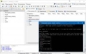 Отчёт от 10670 за Базовый ASP.ект / Установка сервера MySQL