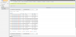 Отчёт от 10670 за Интернет-магазин / phpMyAdmin