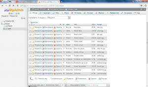Отчёт от 10673 за Интернет-магазин / phpMyAdmin