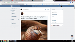 Отчёт от 10759 за Демо софт / Менеджер паролей