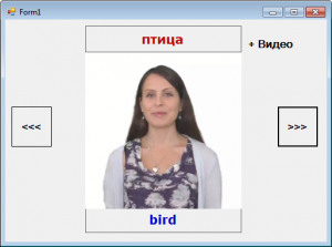 Отчёт от 10775 за Демо софт / Английские карточки