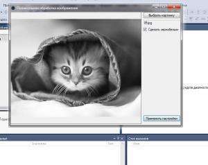 Отчёт от 10833 за Фотошарп / 256 оттенков серого