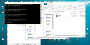 Отчёт от 11051 за Система Git / git commit zebra