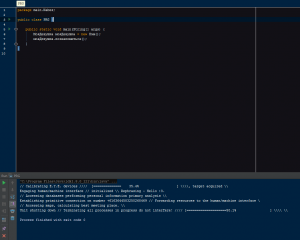 Отчёт от 11309 за Template method / Template Method - Girl - Program
