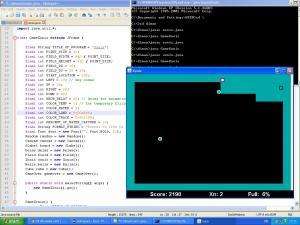 Отчёт от 11322 за Game Xonix / Свои правила