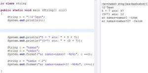 Отчёт от 11325 за J4. Типы / TYPE - Непримитивный тип String