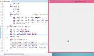 Отчёт от 11325 за Game Xonix / Живой шарик