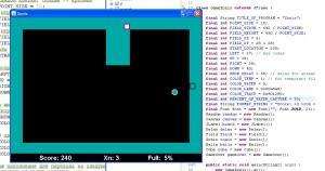 Отчёт от 11342 за Game Xonix / Свои правила