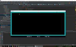 Отчёт от 11456 за Game Xonix / Свои правила