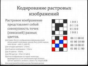 11582. Родион