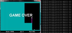 Отчёт от 11589 за Game Xonix / Поиграем?