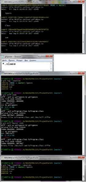 Отчёт от 11589 за Система Git / Ignore
