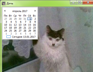 Отчёт от 12314 за Демо софт / Двенадцать месяцев