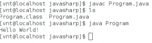 Отчёт от 12438 за J1. Запуск / START - Платформа Java