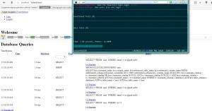 Отчёт от 12450 за Yii2 / IfPasswordWrong - Пароль? Пароль! Проходи.
