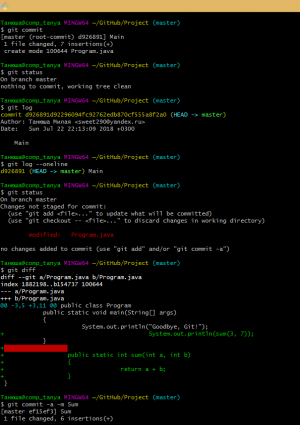 Отчёт от 12464 за Система Git / Commit