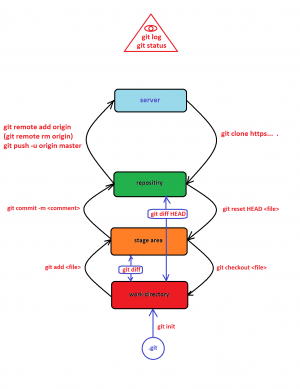 Отчёт от 1295 за Система Git / git push clone