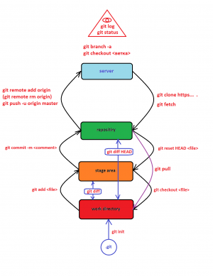 Отчёт от 1295 за Система Git / hippo git fetch pull