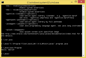 Отчёт от 1295 за J1. Запуск / START - Платформа Java