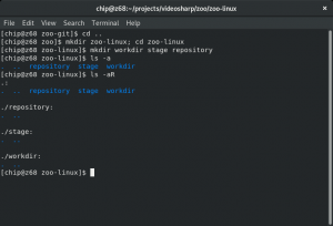 Отчёт от 13417 за Система Git / git init
