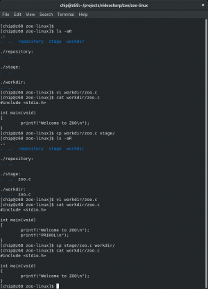 Отчёт от 13417 за Система Git / git add checkout