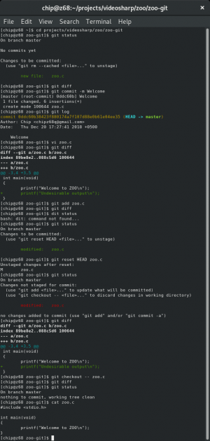 Отчёт от 13417 за Система Git / git commit reset diff