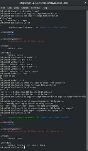 Отчёт от 13417 за Система Git / git ignore