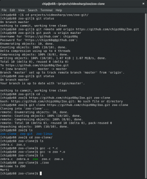 Отчёт от 13417 за Система Git / git push clone