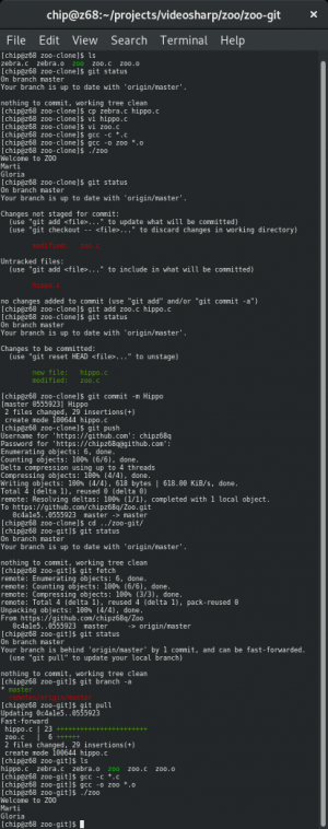 Отчёт от 13417 за Система Git / hippo git fetch pull