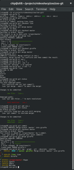 Отчёт от 13417 за Система Git / git merge giraffe lion